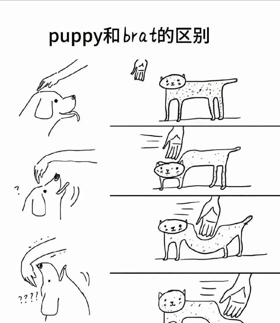 西檬之家-字母圈的BD是什么？权威新人指南