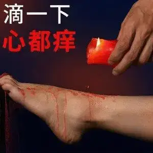 s属性 - 2025-11-13 232552