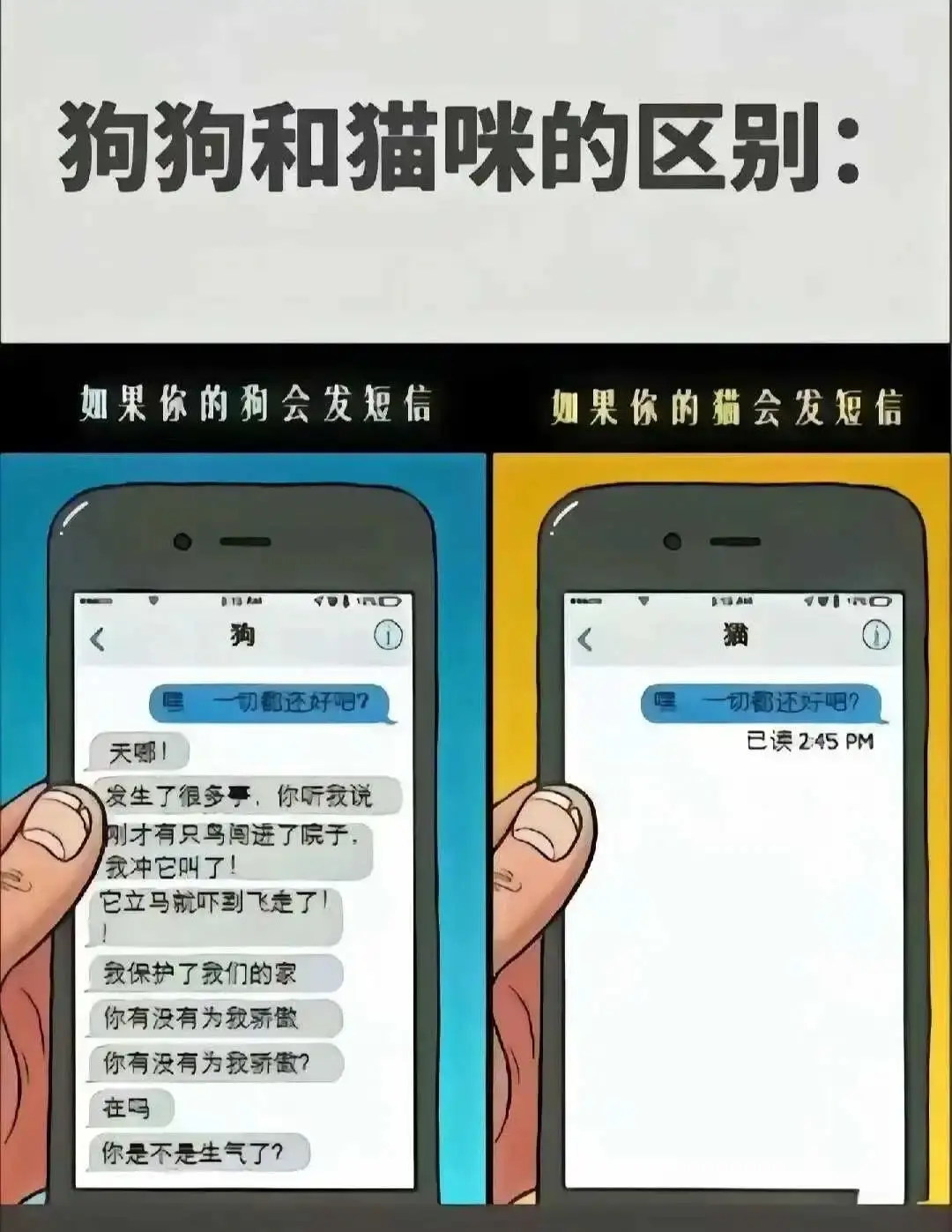 西檬之家-字母圈新人入圈指南：从基础术语到安全实践
