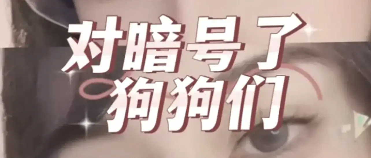 西檬之家-字母圈DS关系：基于信任的支配与臣服实践指南