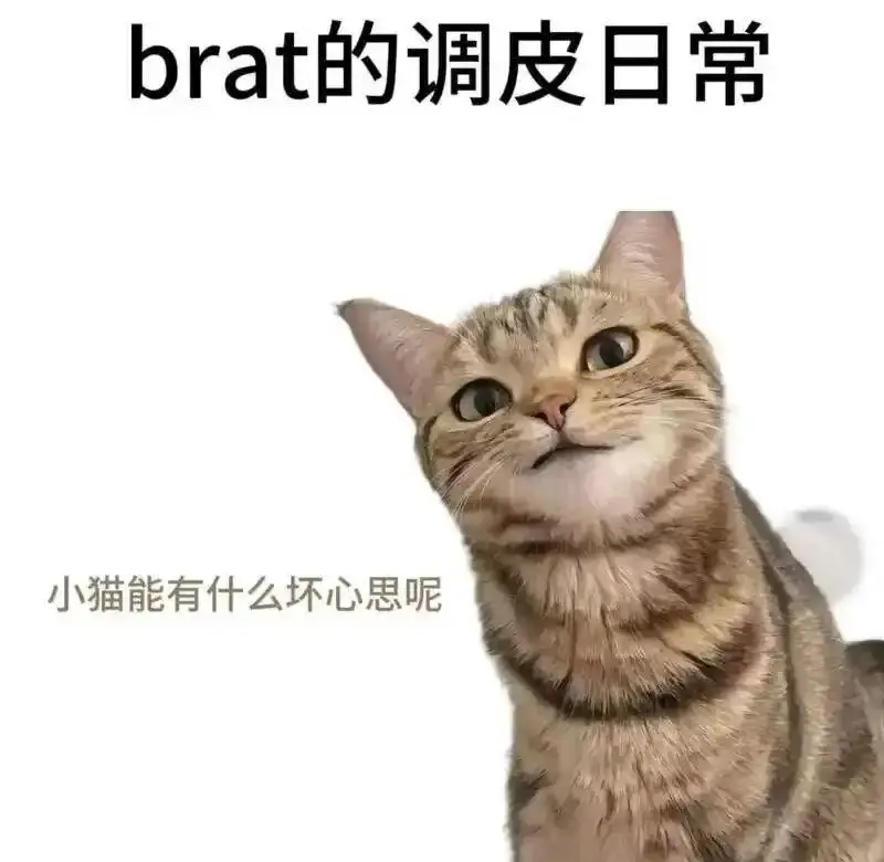 恋足癖 - 微信图片_20251203212836_109_19