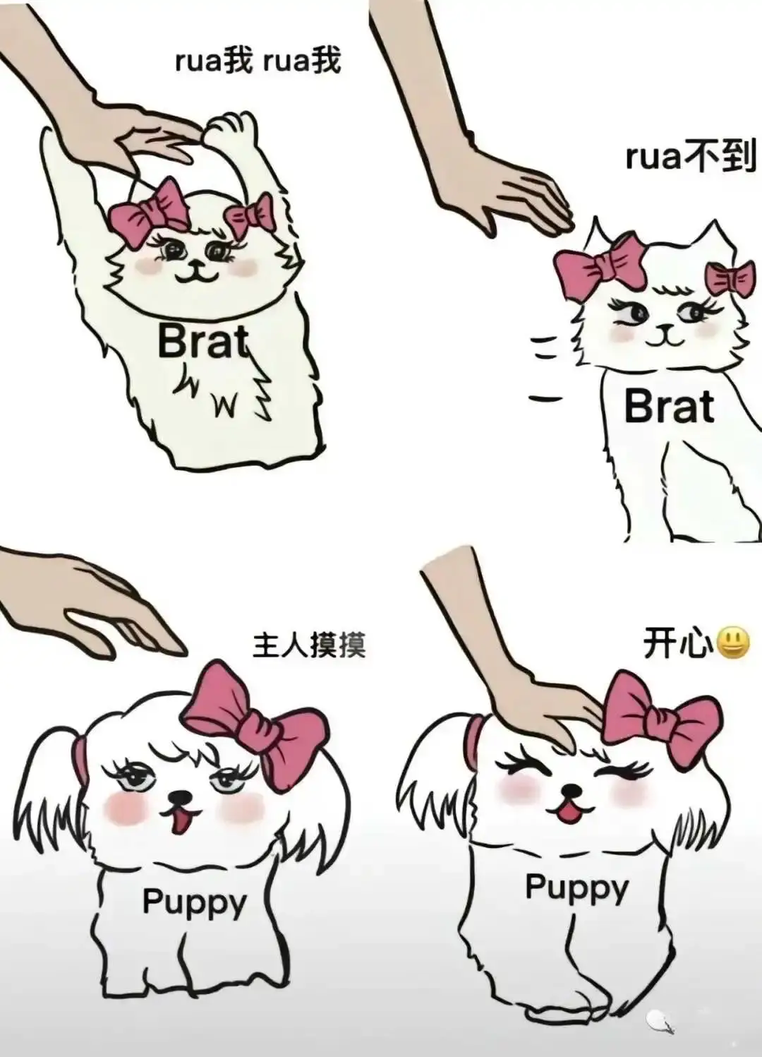 女王 - 2023_12_05_21_27_IMG_9363