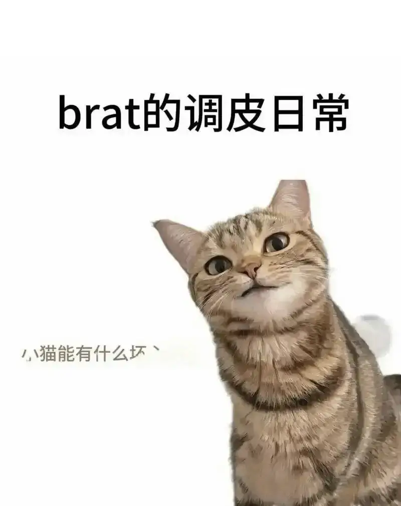 [西檬之家] 字母圈新人BDSM指南