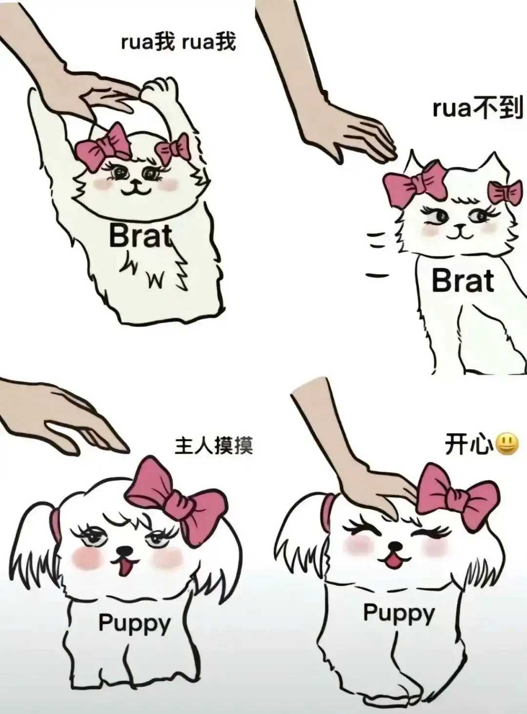 brat属性 - 2023_12_05_21_27_IMG_9364
